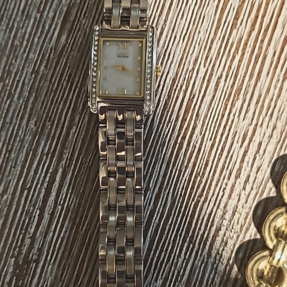 Citizen Eco-Drive Diamond Women's Watch